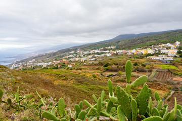 Fototapeta na wymiar Tenerife. Canary islands