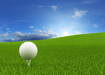Golf Ball on the green grass