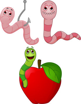 Cartoon Character of Worm