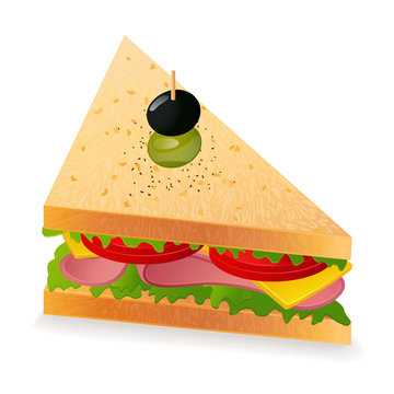 Sandwich. Vector illustration on white background