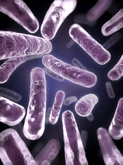 3d rendered scientific illustration of some bacteria