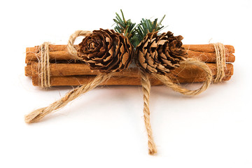 Festive cinnamon stick