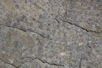 concrete background texture
