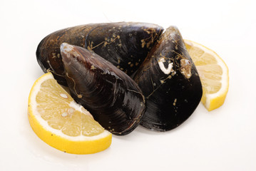 COZZE E LIMONE