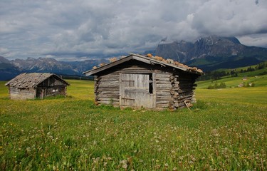 Capanni sull'Alpe di Siusi