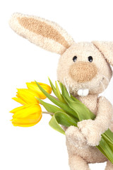 Isolated Easter bunny holding yellow tulips