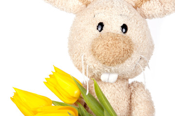 Isolated easter bunny holding yellow tulips