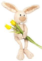 isolated Easter bunny holding yellow tulips