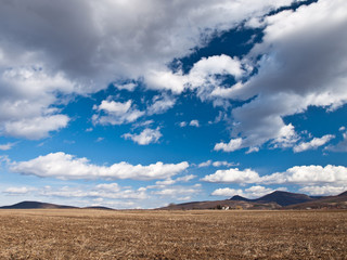 Fototapeta na wymiar brown field and blue sky background