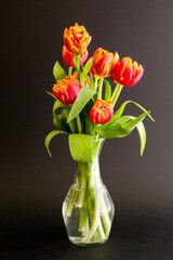 tulip bouquet