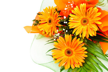 Floral bouquet gerbera