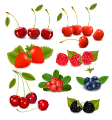 Big group of fresh berries  Vector illustration