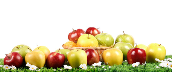 Mele assortite su prato verde