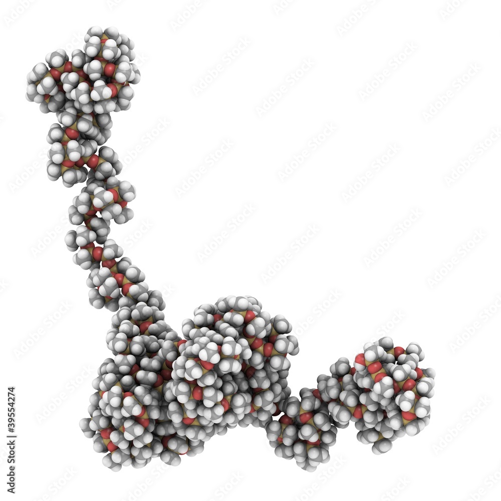 Wall mural Molecule of polydimethylsiloxane