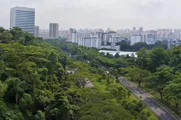 Zelfklevend Fotobehang A View of Singapore City © Belikova Oksana