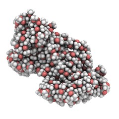 Molecule of poly(methyl methacrylate)