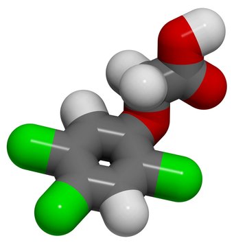 Trichlorophenoxyacetic acid (2,4,5-T): molecular structure (3D)