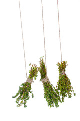 fresh green thyme hanging on rope isolated on white