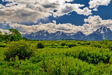 Obraz premium Grand Tetons Mountains Landscape