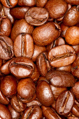 Coffee beans