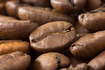 Brown coffee beans