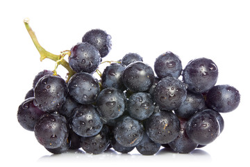 ripe blue grapes
