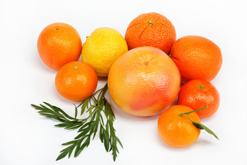 Tropical fruits on a white background.