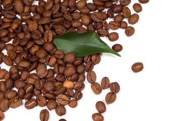 coffee beans