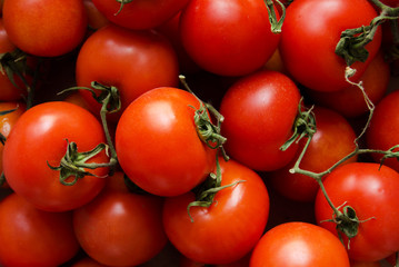 Tomatoes