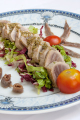 Fish Plate