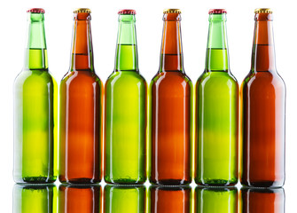 Beer bottles isolated on white background