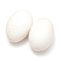 Goose eggs isolated on a white studio background.