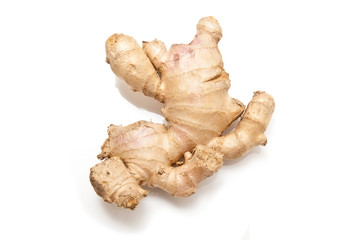 Root Ginger isolated on a white studio background.