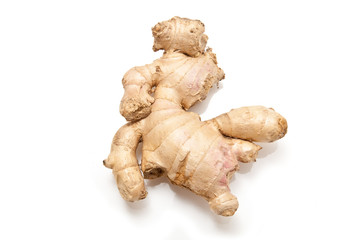 Root Ginger isolated on a white studio background.