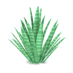 3d render of simple plant