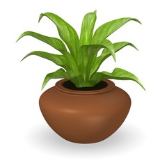 Obraz na płótnie Canvas 3d render of simple plant