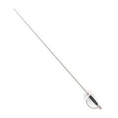 3d render of rapier sword