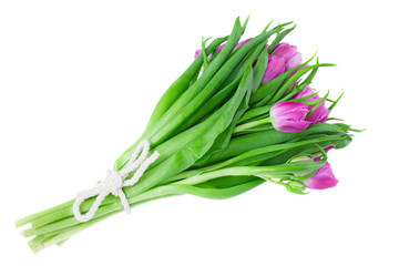 violet tulips bouquet