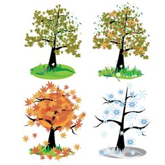 Four seasons - spring, summer, autumn, winte