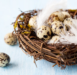 Obraz premium Osternest