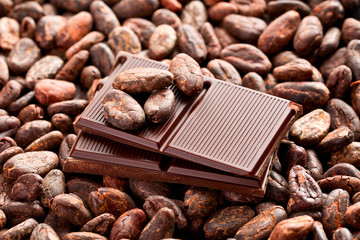 chocolate and cocoa beans