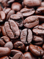 coffee bean