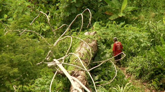 Indio im Regenwald, Peru