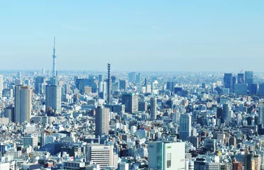 Foto op Plexiglas Flight over Tokyo © Lucian Milasan
