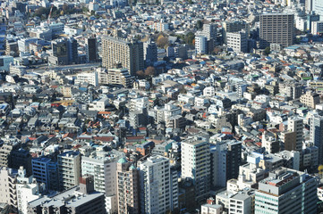 Fototapeta premium Suburbia