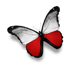 Papillon de drapeau polonais, isolé sur blanc