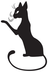 Black cat profile