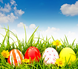 Easter Eggs with flower on Fresh Green Grass