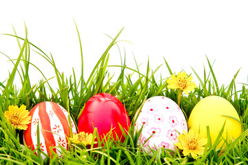 Easter Eggs with flower on Fresh Green Grass