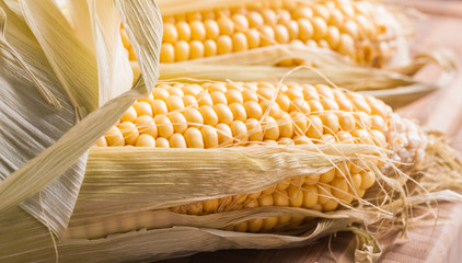 Raw corn © Philip Stridh